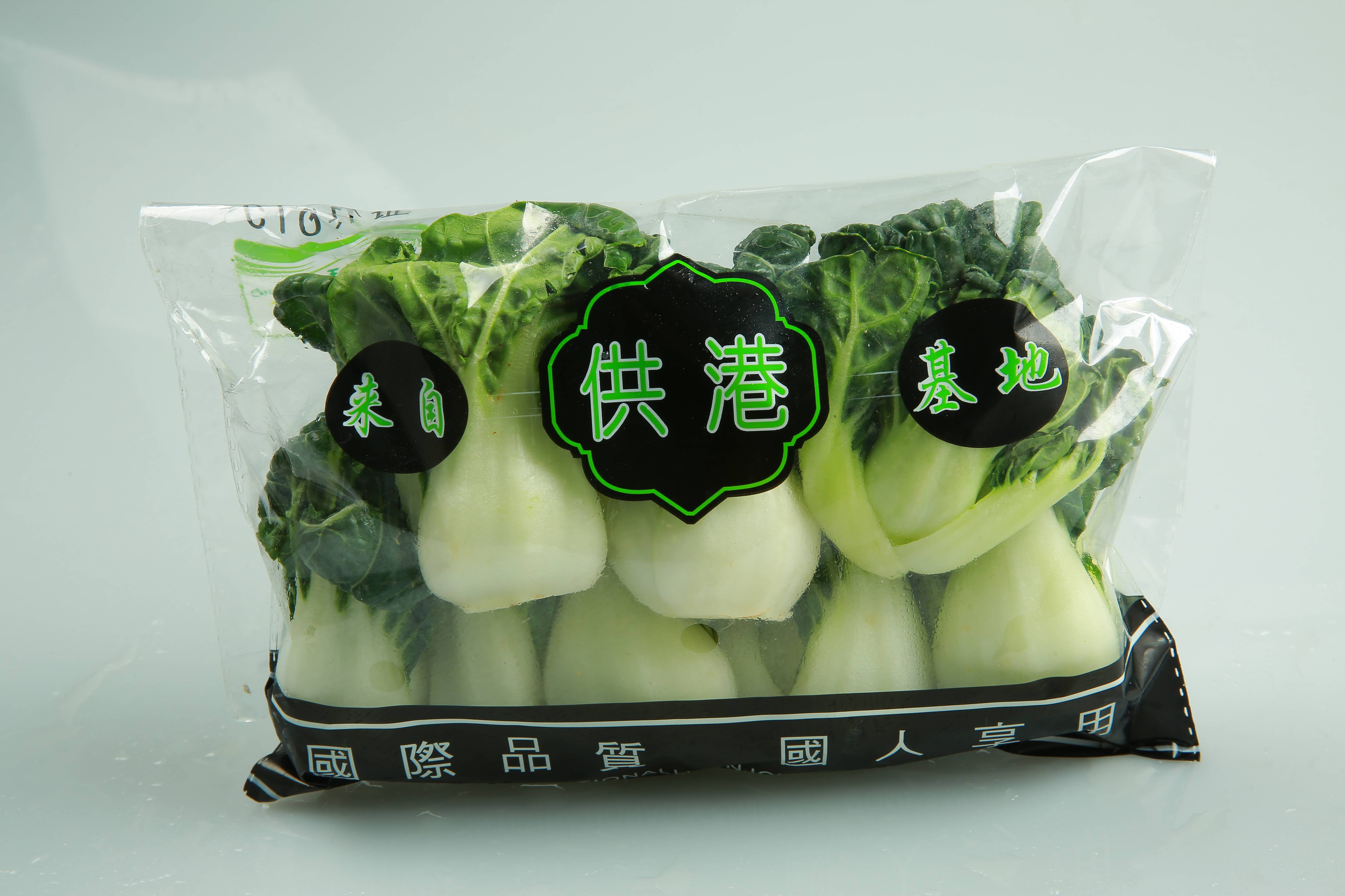 精品學(xué)斗仔